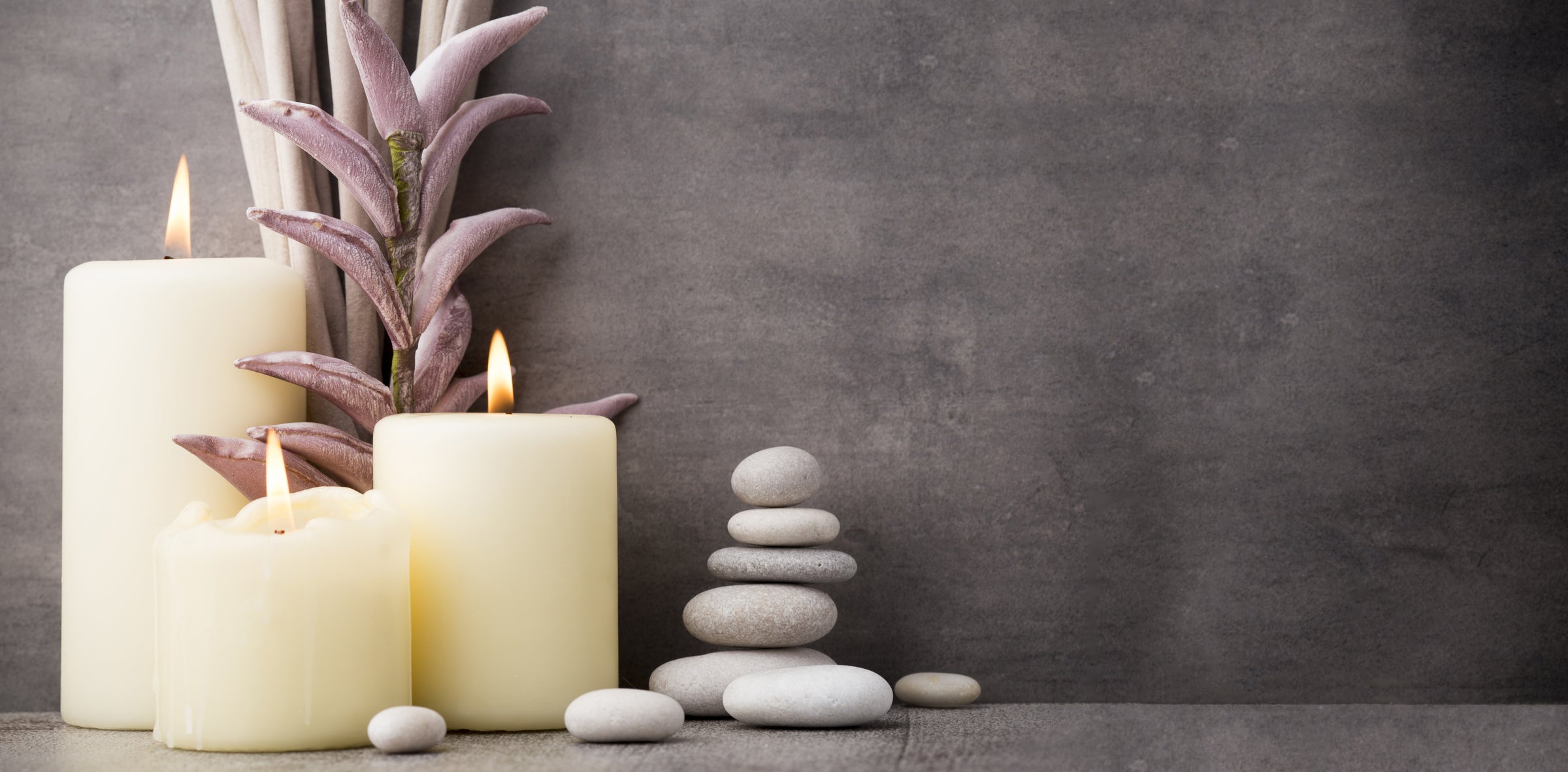 Professional Spa Treatment Protocols