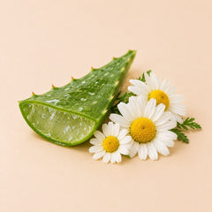 Aloe & Chamomile