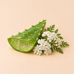 Aloe Vera, Yarrow Flowers & Sodium Hyaluronate