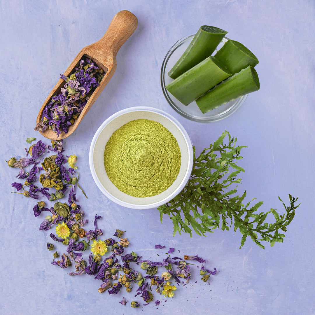 overhead view of ingredients, including a wooden scoop of dried lavendar and chamomile, a white dish of green tea powder, seaweed and a glass dish of sliced aloe.
