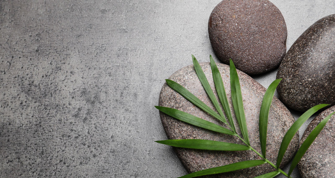 Best Face & Body Day Spa Has Closed