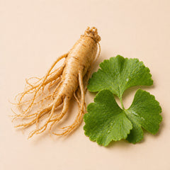Ginseng & Ginkgo