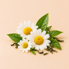Chamomile & Green Tea
