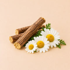 Daisy Extract & Licorice