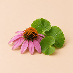 Echinacea & Gotu Kola