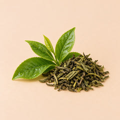 Green Tea Leaf Extract