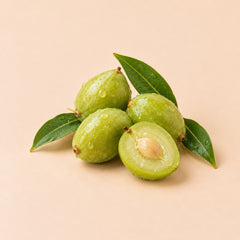 Kakadu Plum