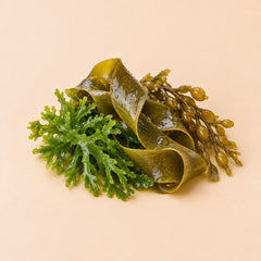 Algae Extract