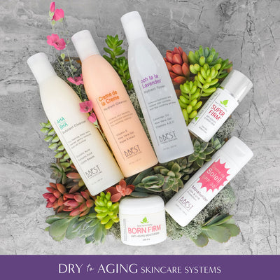 Dry to Aging Skincare System. Overhead flatlay display of skincare products on top of succulent plant background.