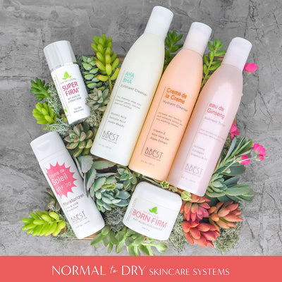 Skincare System for Normal to Dry Skin. Overhead display of skincare products on top of succulent plant background.