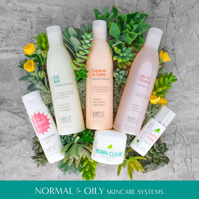 Skincare System for Normal to Oily skin. Dry to Aging Skincare System. Overhead display of skincare products on top of succulent plant background.
